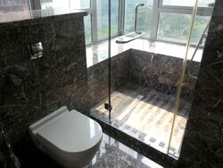Suites @ Cairnhill (D9), Apartment #605871381